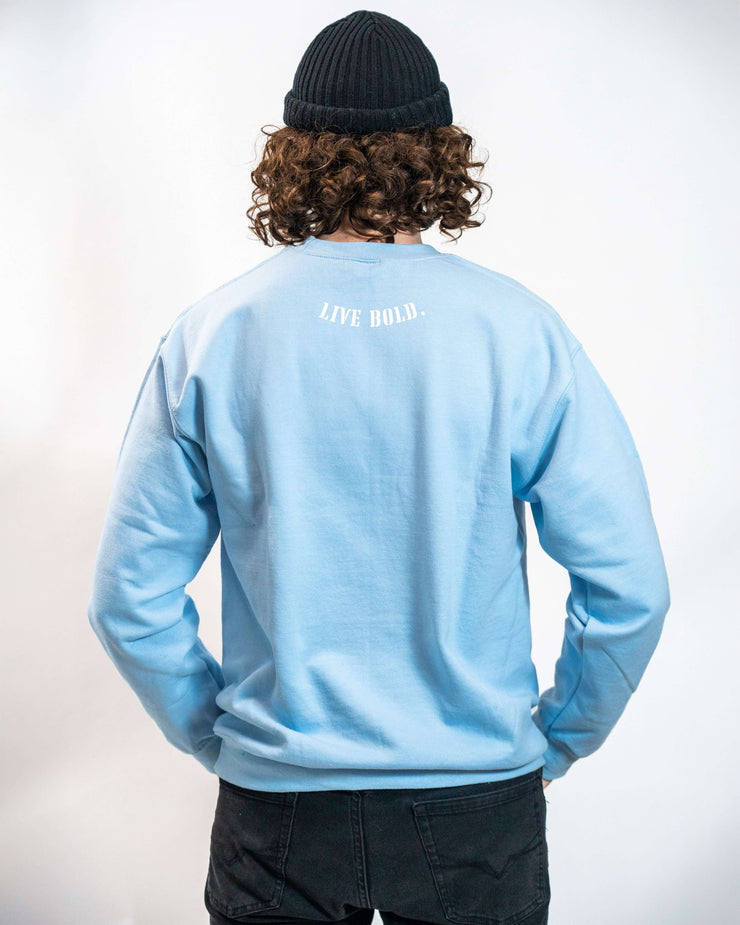 BORZO Cyan Sweatshirt