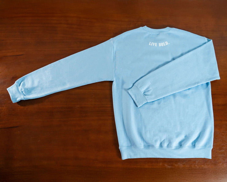 BORZO Cyan Sweatshirt