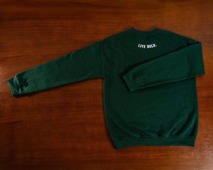 BORZO Green Sweatshirt