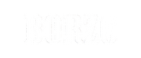 BORZO